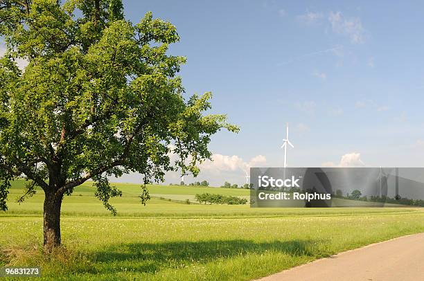 Summer Tree E Windpark - Fotografie stock e altre immagini di Blu - Blu, Campo, Cielo