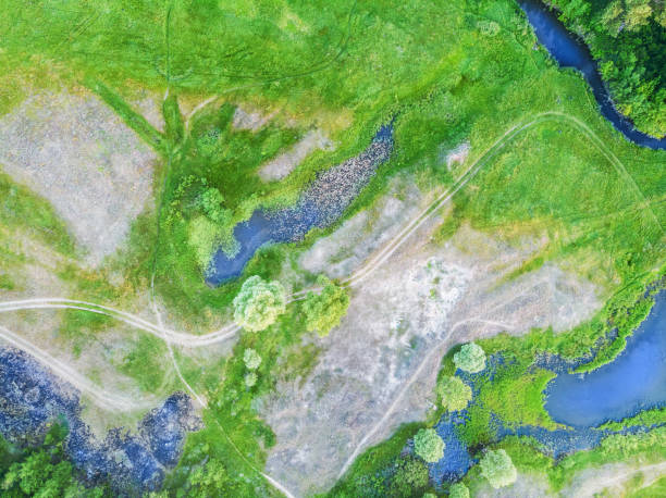 istock Beautiful green meadow with ponds and trees 968315740