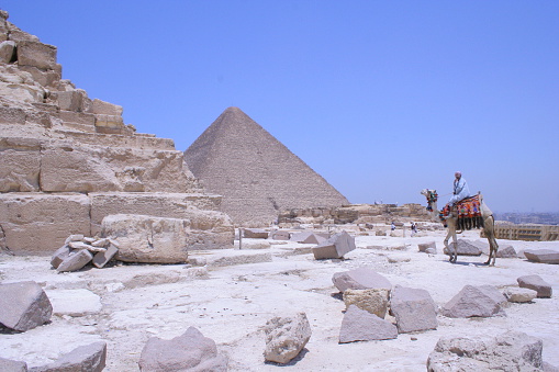 Pyramid Of Giza & camel - Egypt