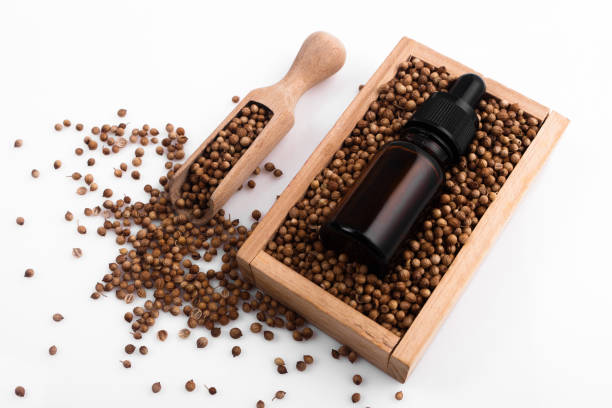 istock coriander seeds on a white background, essential oil 968325864