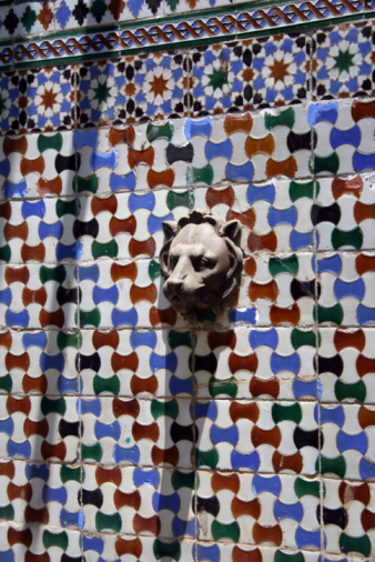 Cat on the Saadian tombs, Marrackech, Morocco.