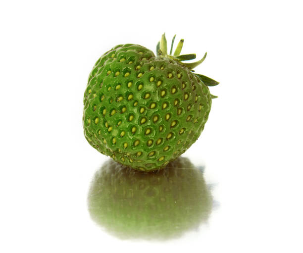 beautiful, ripe, large bright strawberry on the isolated background. Isolate green Strawberry. bright red berry