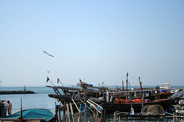 istock fishing boats in kuwait harbor 96834143