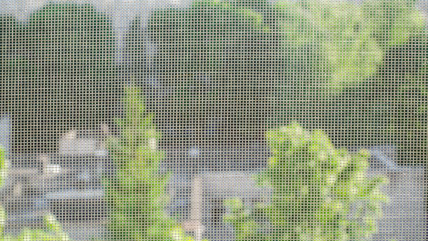 istock Mosquito net on the window. Protection against insects. Background. 968344394