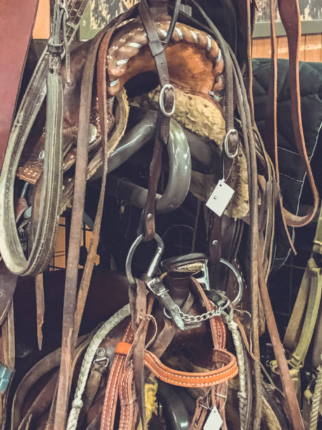 istock Horse tack Hanging On A Wall 968344400