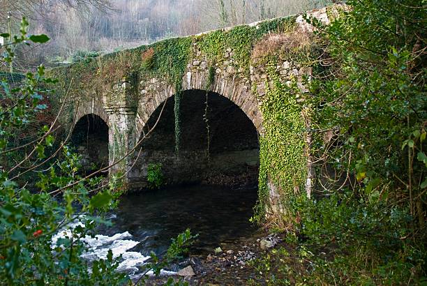 istock Avoca Bridge in Co. Wicklow Ireland 96837106