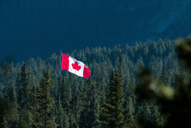 drapeau canadien flotte sur forêt - flag canada canadian flag maple leaf photos et images de collection