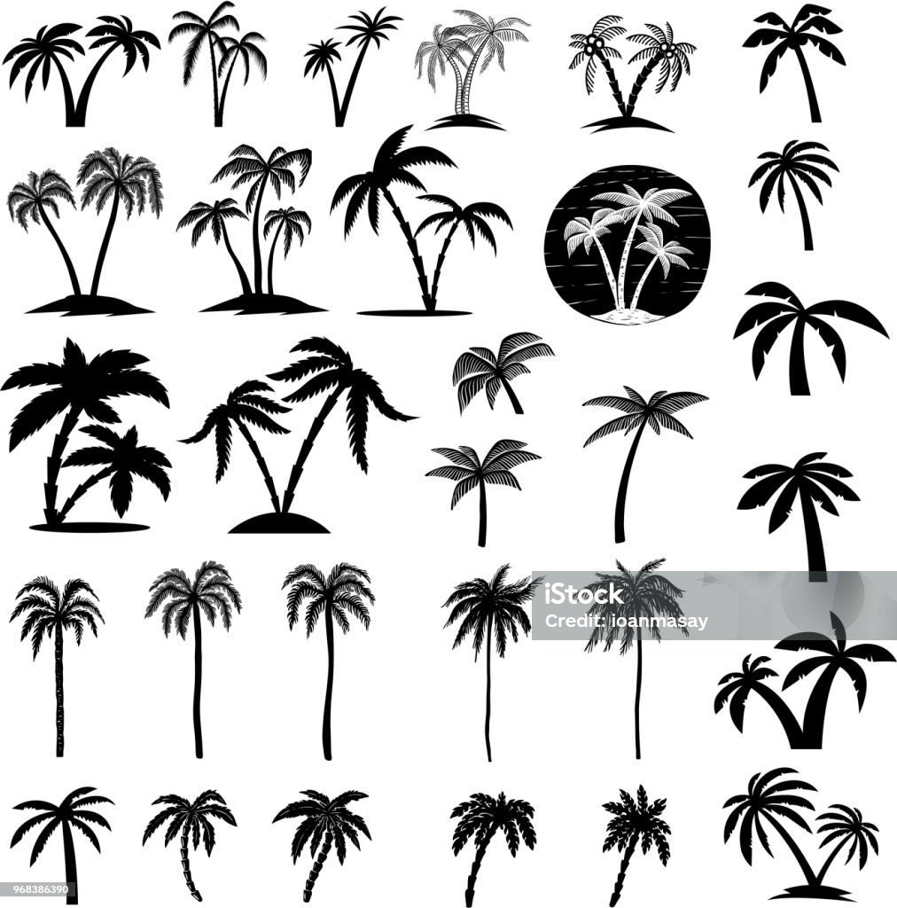 Set of palm tree illustrations. Design element for  label, emblem, sign, poster, card, banner. Set of palm tree illustrations. Design element for  label, emblem, sign, poster, card, banner. Vector image Palm Tree stock vector