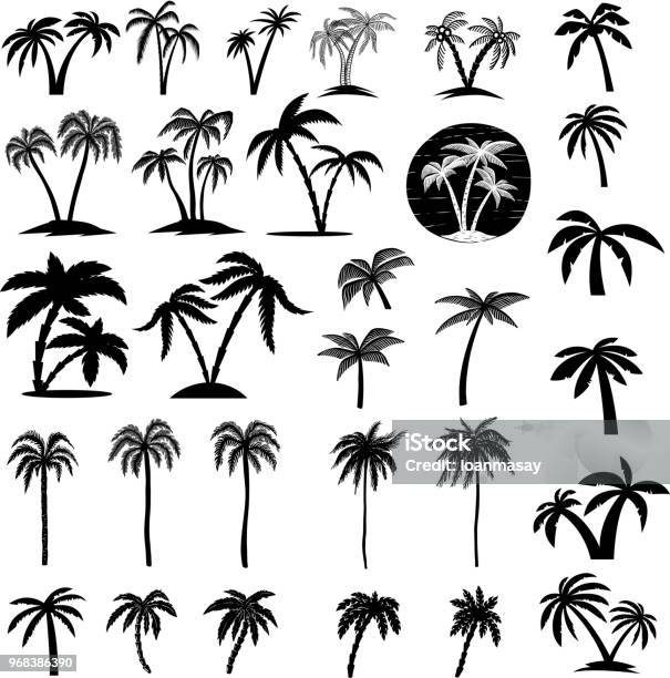 Set Of Palm Tree Illustrations Design Element For Label Emblem Sign Poster Card Banner Stock Illustration - Download Image Now