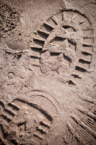 footstep nel fango - boot prints foto e immagini stock