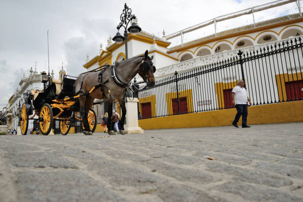 voiture à cheval à côté de la plaza de toros de la real maestranza de séville. - maestranza bullring photos et images de collection