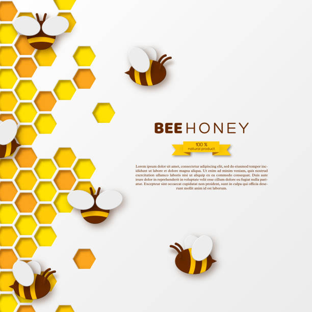 蜂の巣に蜂、紙カット ctyle。beekiping と蜂蜜の製品、白い背景、ベクトル イラストのテンプレート デザイン。 - honeyed点のイラスト素材／クリップアート素材／マンガ素材／アイコン素材
