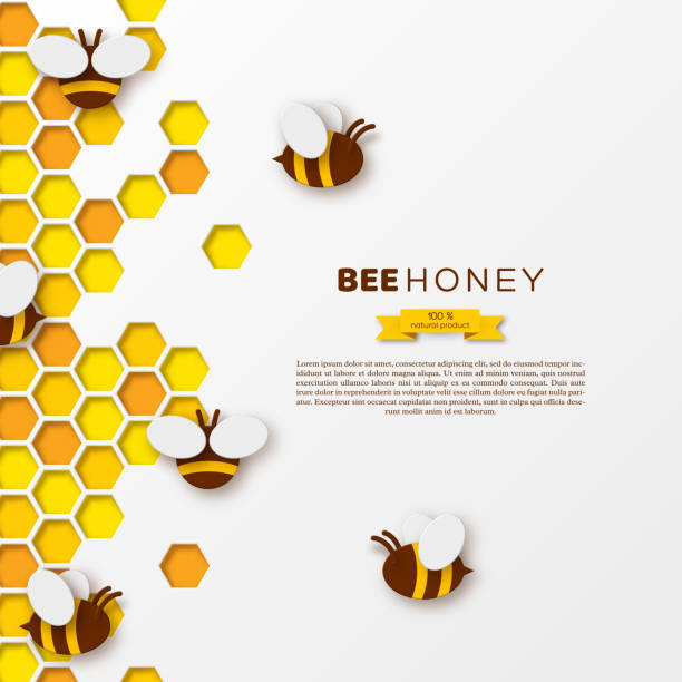 ilustrações de stock, clip art, desenhos animados e ícones de bee with honeycombs, paper cut ctyle. template design for beekiping and honey product, white background, vector illustration. - activity animal bee beeswax