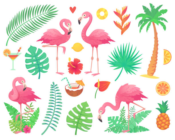Pink flamingo and tropical plants. Beach palm, african plant leafs, rainforest flower, tropic palms leaf and rosy flamingos vector set Cartoon cute pink flamingo and tropical plants. Beach palm, green african plant monstera leafs, floral rainforest flower, tropic palms leaf and rosy flamingos and summer stuff vector illustration flamingo stock illustrations