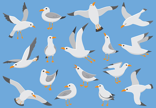 Atlantic seabird fly at sky. Beach seagull at quay. Sea birds, cute gull on blue background cartoon isolated vector illustration set