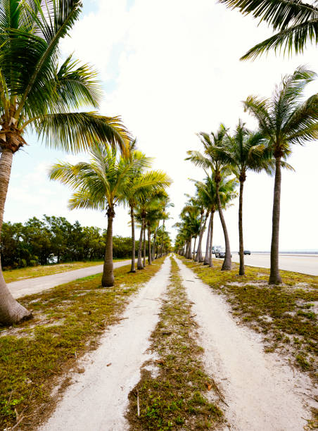 istock Footpath by the sea, Key West, Florida. 968394764