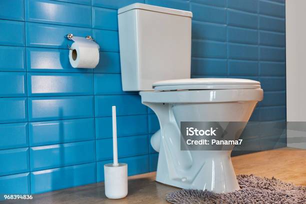 Toilet Bowl In The Bathroom Stock Photo - Download Image Now - Toilet, Bathroom, Toilet Brush