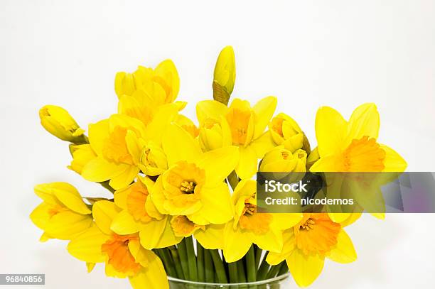 Bouquet Of Daffodils Stock Photo - Download Image Now - Daffodil, Bouquet, Flower