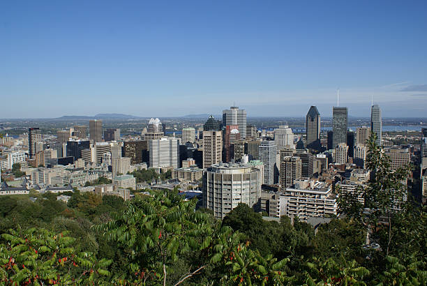 istock Montreal from Mont-Royal 96843658