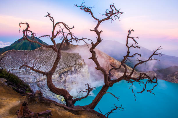 istock Kawah Ijen volcano with trees during beautiful sunrise in East Java, Indonesia 968446250