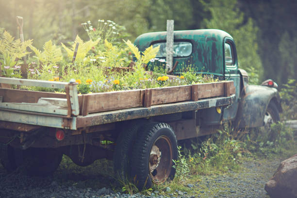 an abandon old truck with plants and flowers