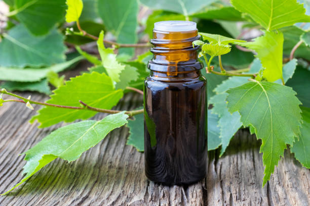 istock A bottle of birch essential oil with birch branches 968475662