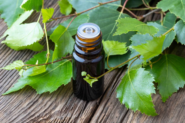 istock A bottle of birch essential oil with birch branches 968475710