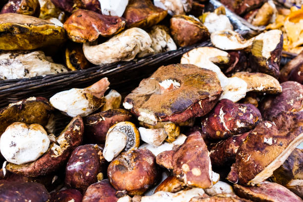 Hongos Boletus Mushrooms for sale in a Spanish grocer