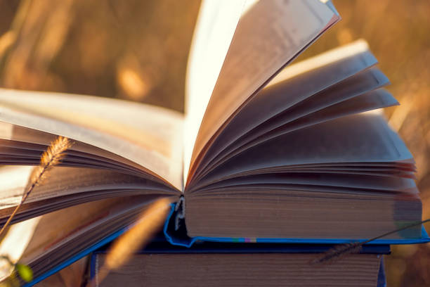 istock Open book on wooden table on natural background. Soft focus 968484256