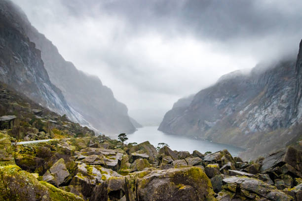 Moss covered green rocks fjord Norway bad weather stock photo
