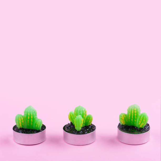istock Candles succulent flowers on pink background 968502416