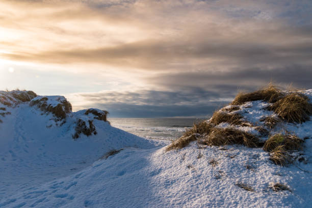 Dunes covered in snow sunset stock photo