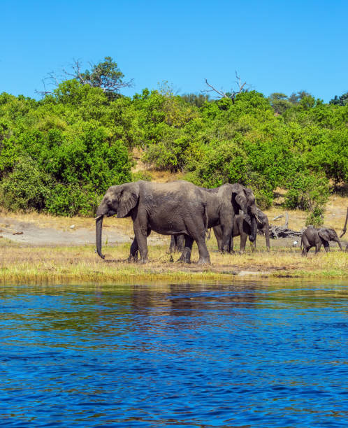 istock The exotic tourism 968516050