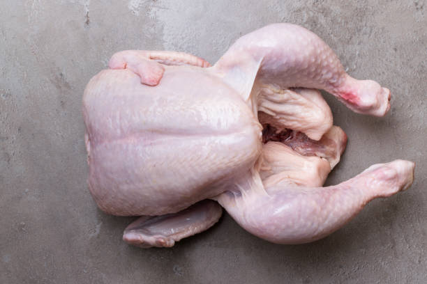 istock whole raw of fresh chicken isolated on grey background. Top view 968516718