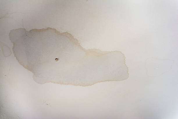 manchas de agua interior en molde mal daño azulejos de techo - mold molding wall wet fotografías e imágenes de stock