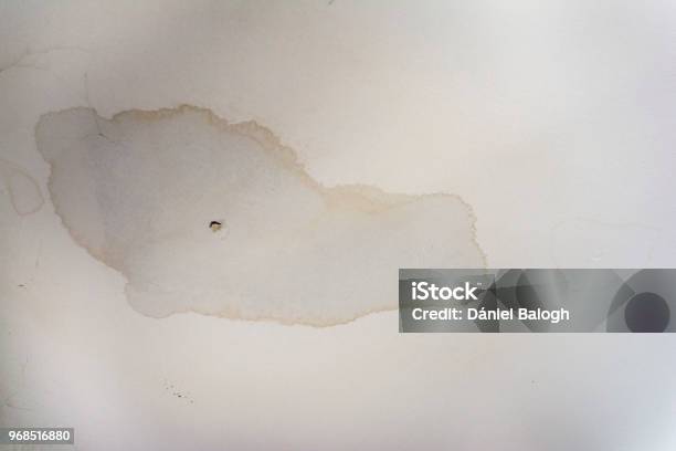 Interior Water Spots On Ceiling Mold Disrepair Damage Tiles Stock Photo - Download Image Now