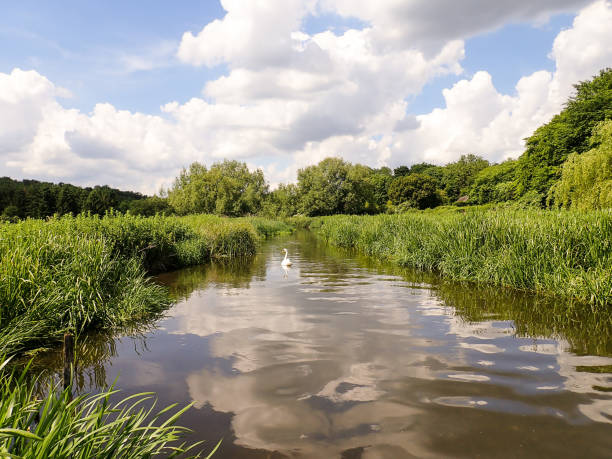 istock The River Chess at Sarratt Bottom, Hertfordshire 968520576