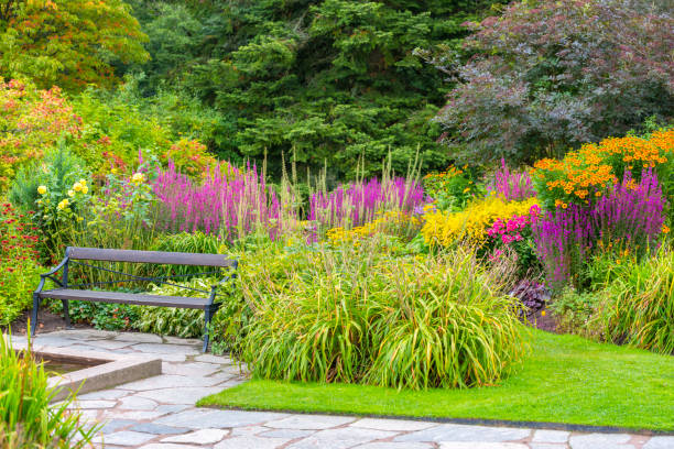 花壇に囲まれた公園のベンチ - formal garden garden path bench flower ストックフォトと画像