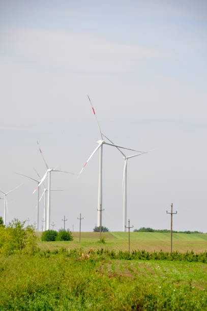 istock Wind turbine in the field producing energy 968527580