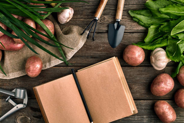 istock Gardening tools and fresh vegetables over wooden background 968533090