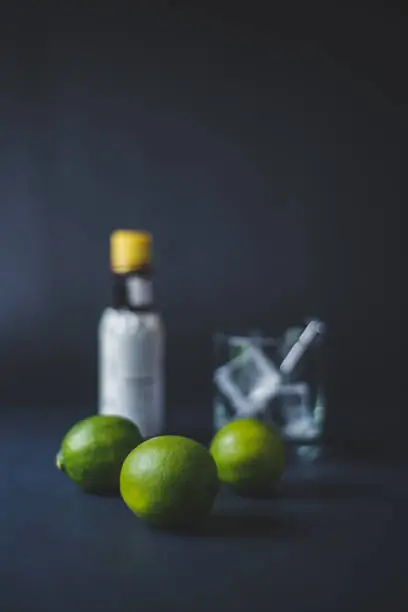 A still life of cocktail ingredients on a black background.