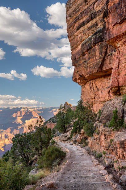 Grand Canyon Kaibab Trail - South Rim Early morning down the Kaibab trail to the canyon floor south kaibab trail stock pictures, royalty-free photos & images