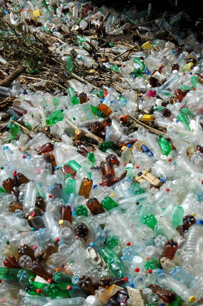 istock many plastic bottles thrown outdoor 968539558