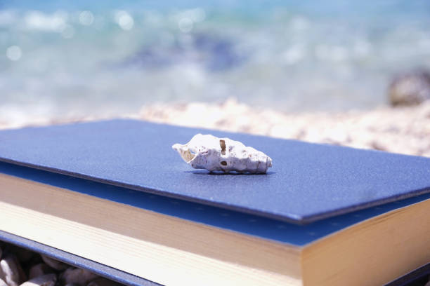 istock Book with old and damage seashell on it in the seacoast. Vacation and relax concept 968545598