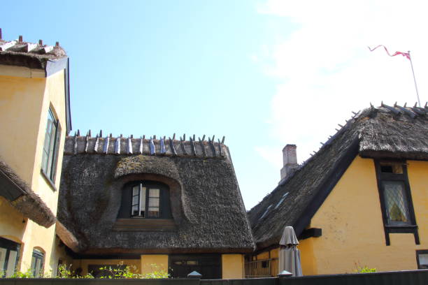 istock Thatched Roof on Houses in Dragor, Denmark 968551882