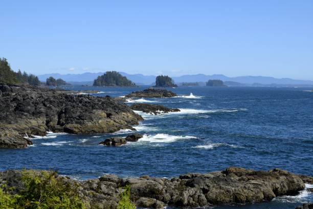 istock view from Amphitrite Point towards the Barkley Sound 968554210