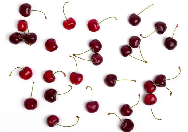 Cherry scattered on a white background, top view