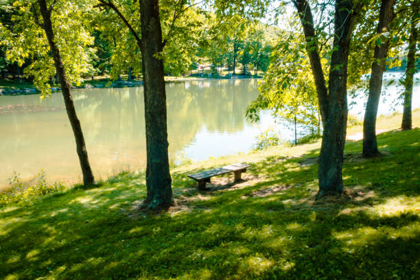 istock Bench overlooking the pond at Blue Spruce Park during the summer 968566934
