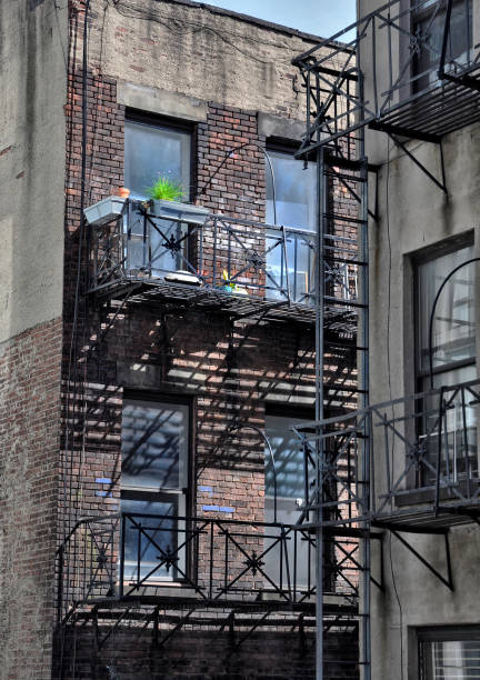 зеленый завод на балконе в челси, нью-йорк - meatpacking district стоковые фото и изображения