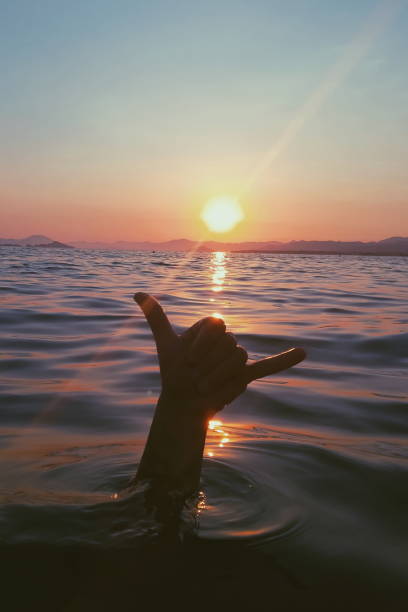 Man hand making shaka sign hang loose inside water on sunset. Surfer community concept photo.